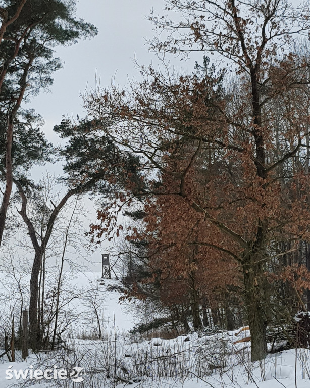 Zimowe pejzaże w fotografiach Karoliny Kujawskiej