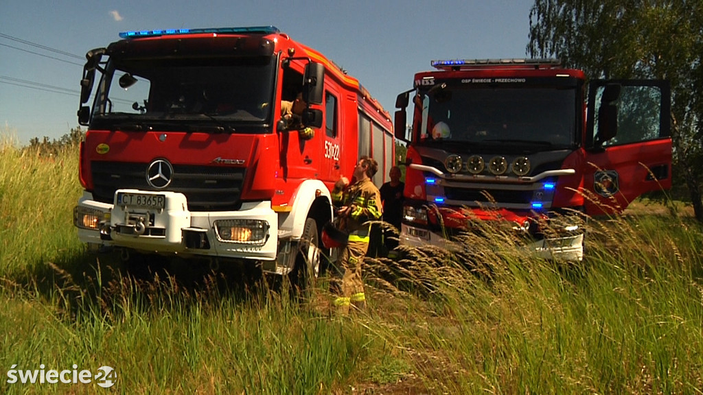 Ogień w lesie pod Terespolem