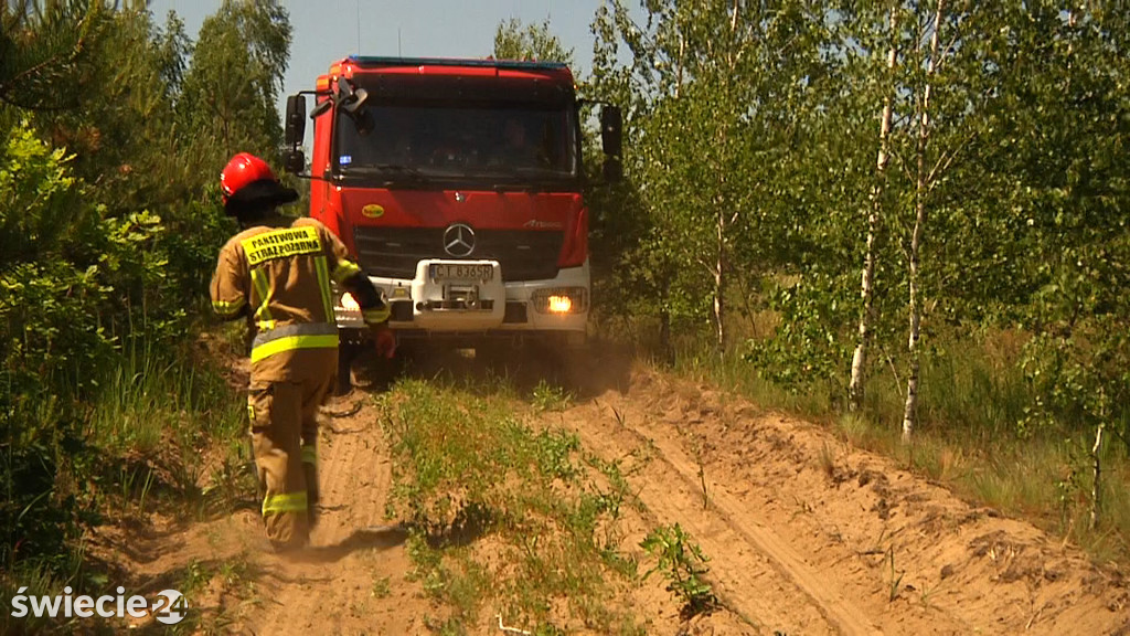 Ogień w lesie pod Terespolem