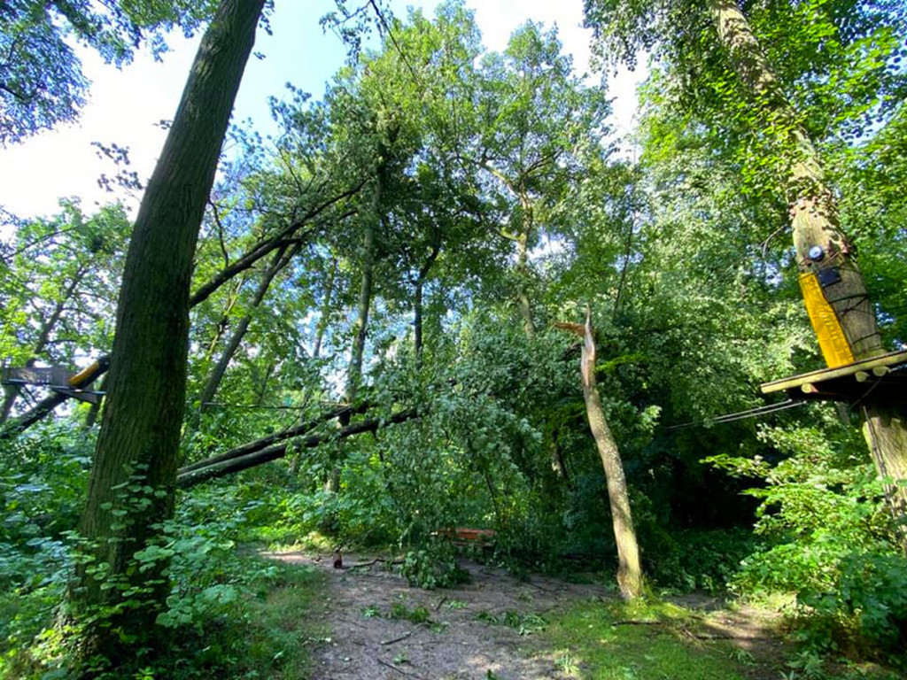 Burza zniszczyła park linowy w Rulewie