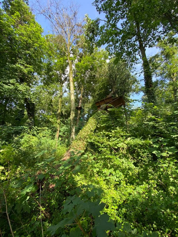 Burza zniszczyła park linowy w Rulewie