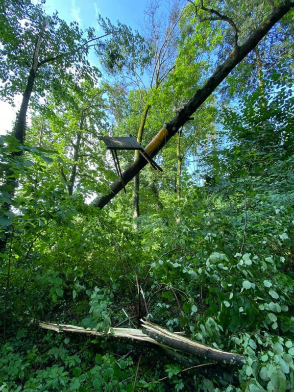 Burza zniszczyła park linowy w Rulewie