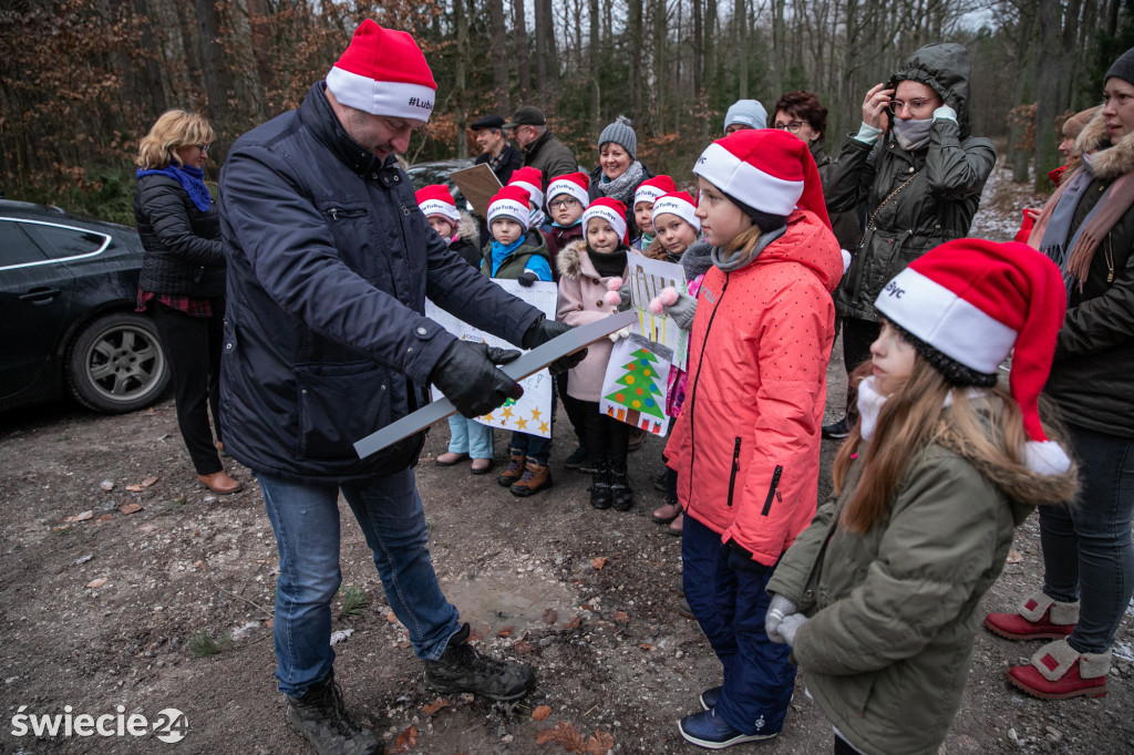 Świąteczne drzewko dla Urzędu Marszałkowskiego wybrane