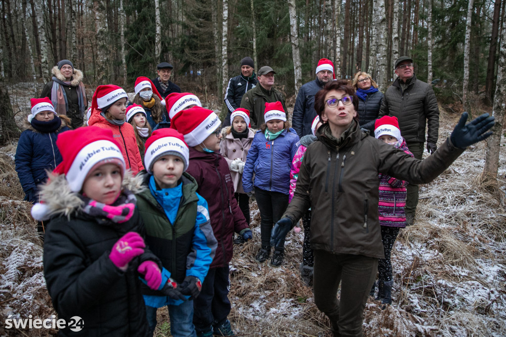 Świąteczne drzewko dla Urzędu Marszałkowskiego wybrane