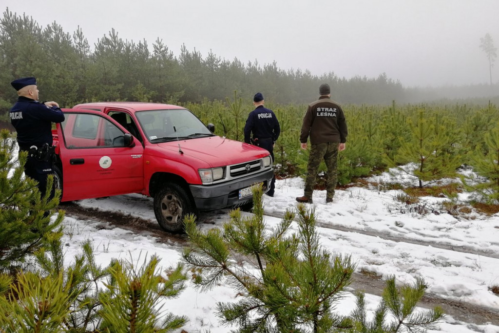 Policja i straż leśna kontrolują lasy i samochody