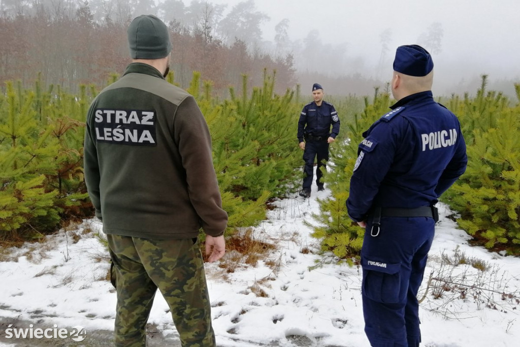 Policja i straż leśna kontrolują lasy i samochody