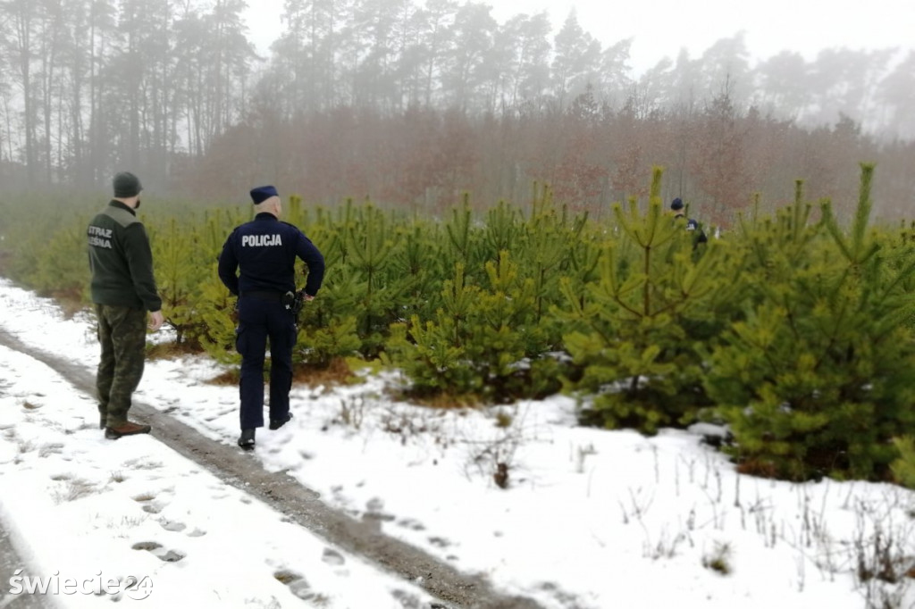 Policja i straż leśna kontrolują lasy i samochody