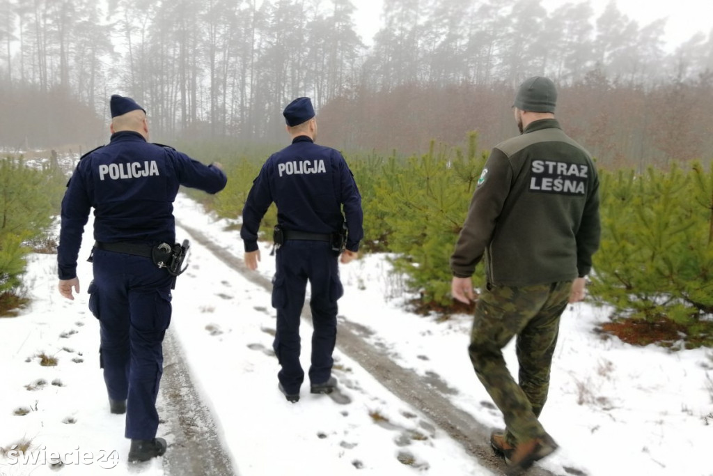 Policja i straż leśna kontrolują lasy i samochody