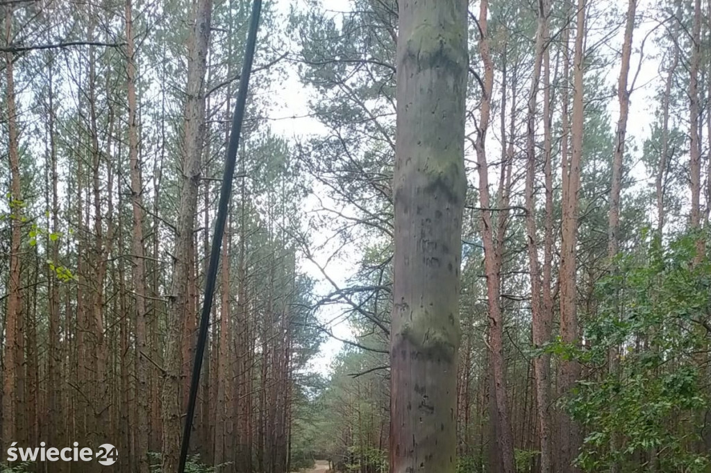 Złapany na kradzieży telefonicznych kabli