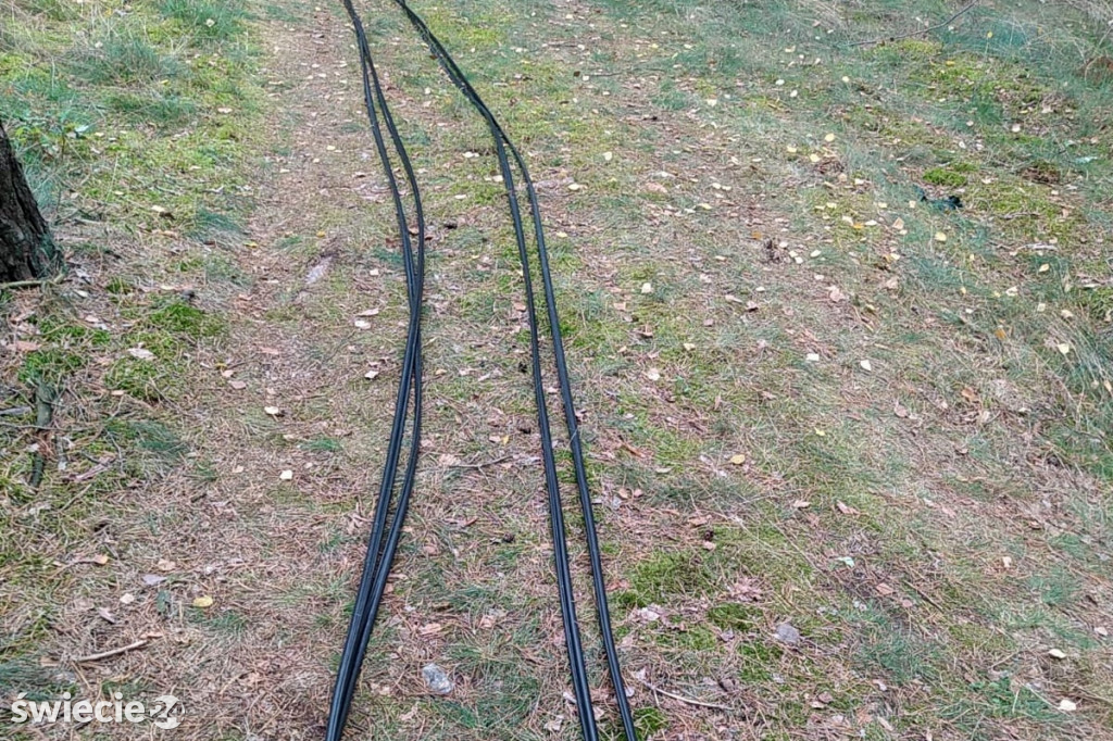 Złapany na kradzieży telefonicznych kabli