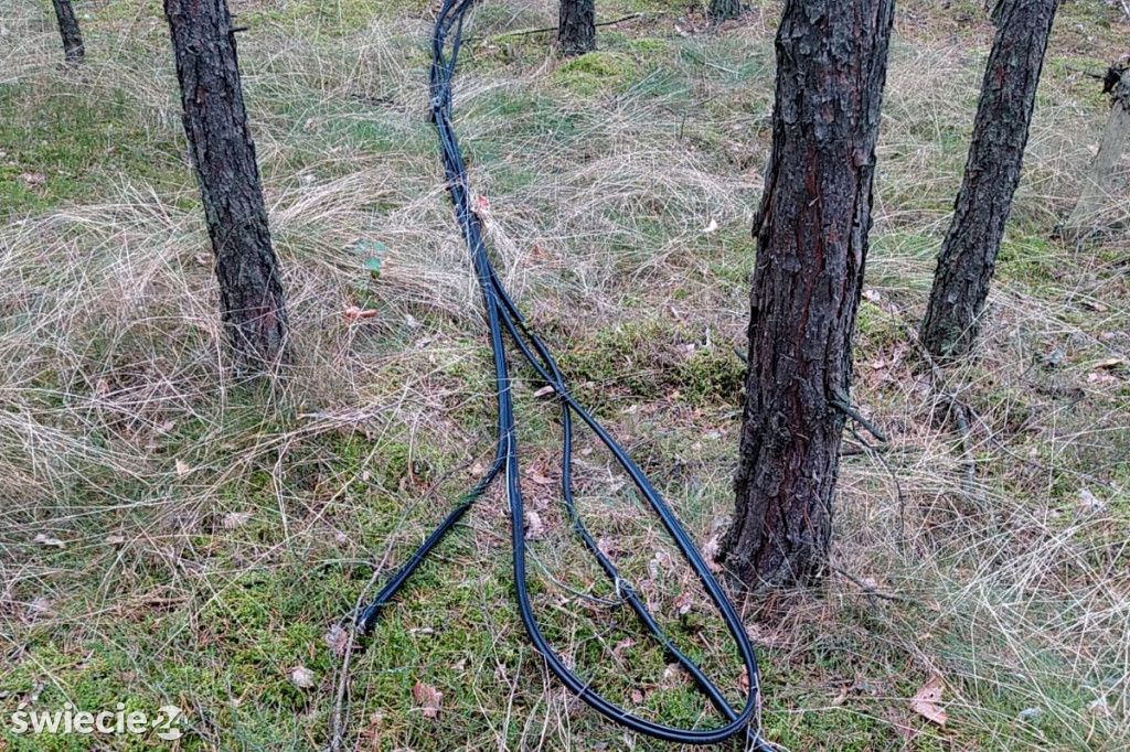 Złapany na kradzieży telefonicznych kabli