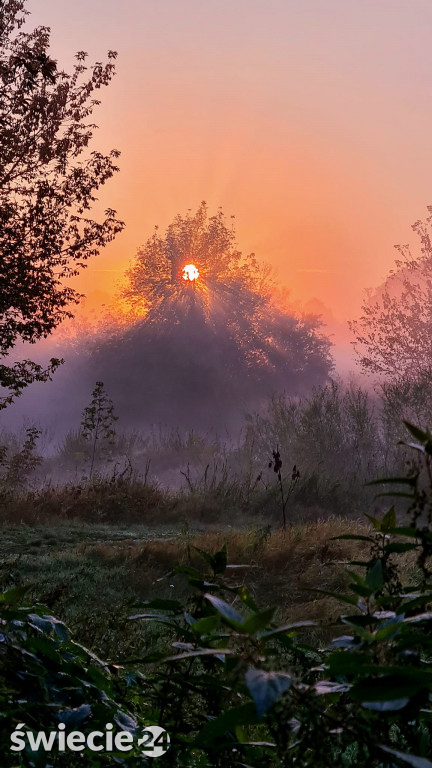 Barwy jesieni na zdjęciach naszych czytelników