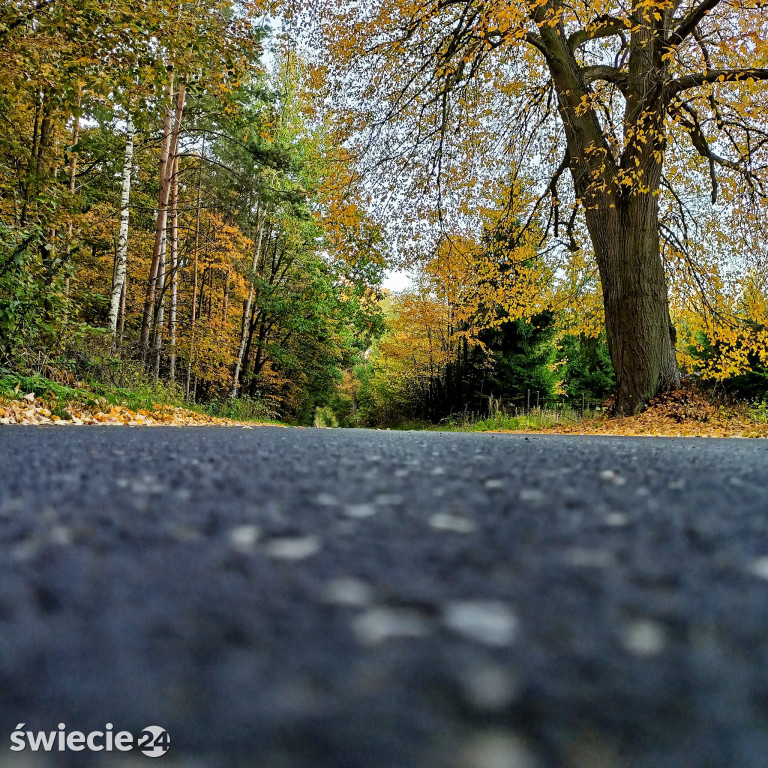 Barwy jesieni na zdjęciach naszych czytelników