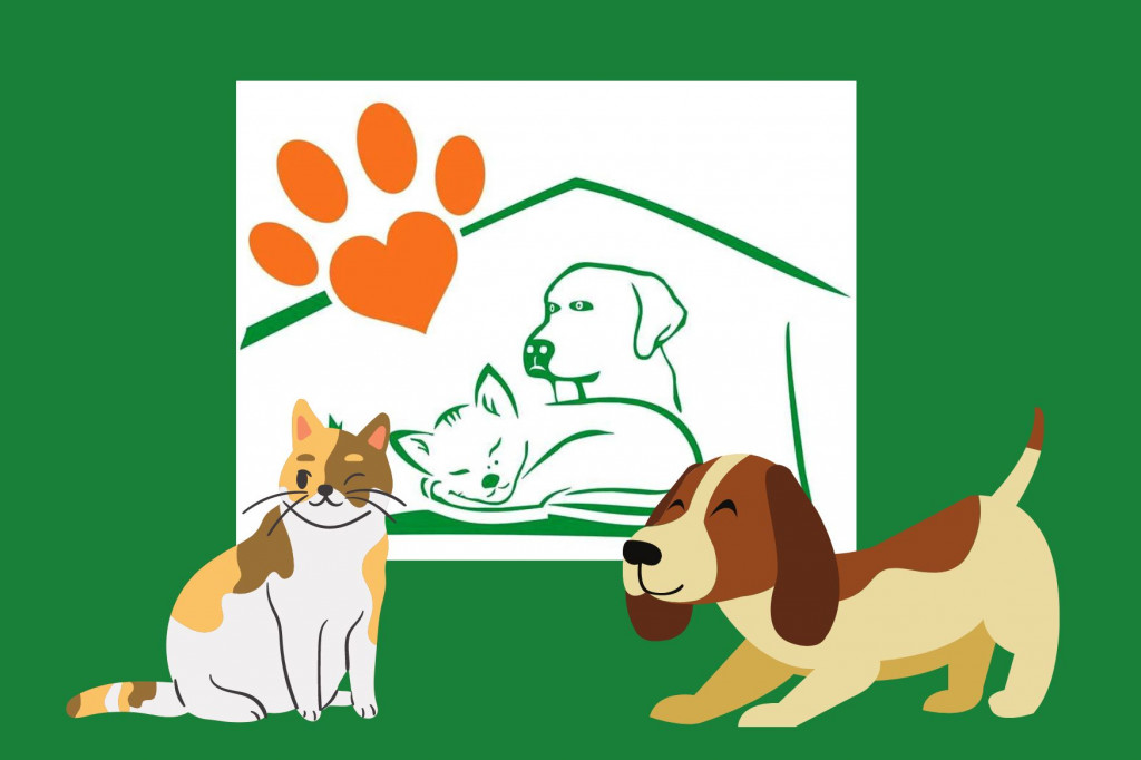 Świeckie zwierzaki bezdomniaki polecają się do adopcji!