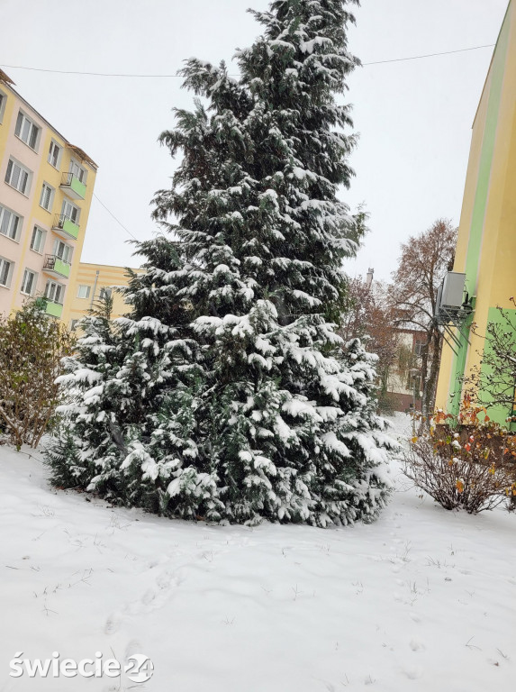 Zima w obiektywach czytelników