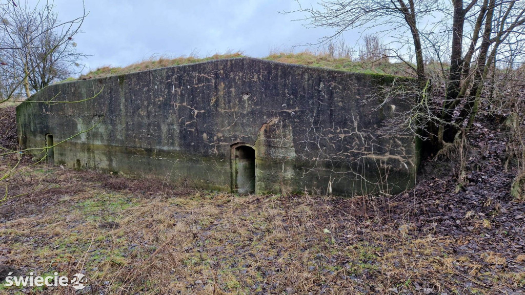 Zimowe liczenie nietoperzy w fortach i schronach