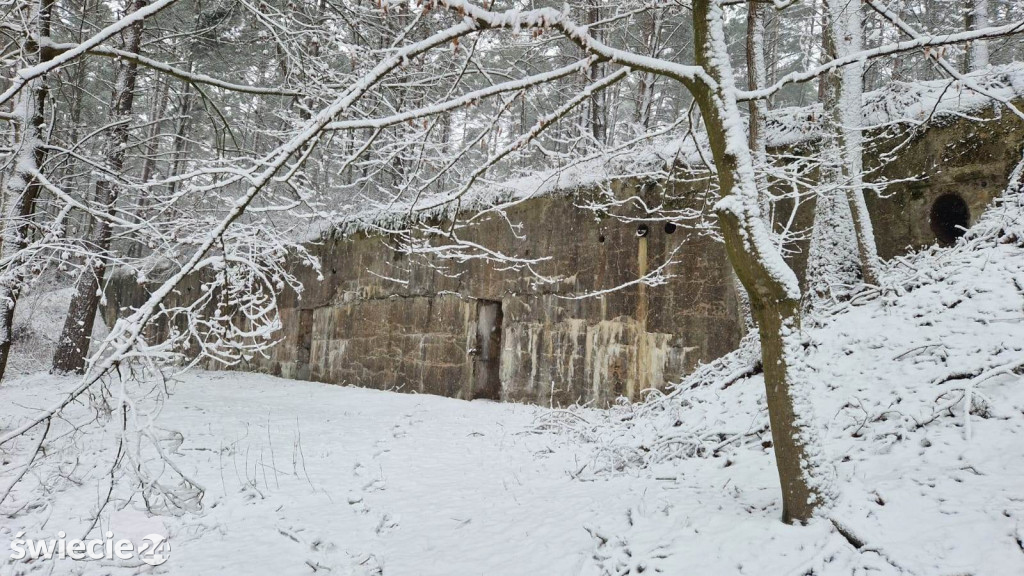Zimowe liczenie nietoperzy w fortach i schronach