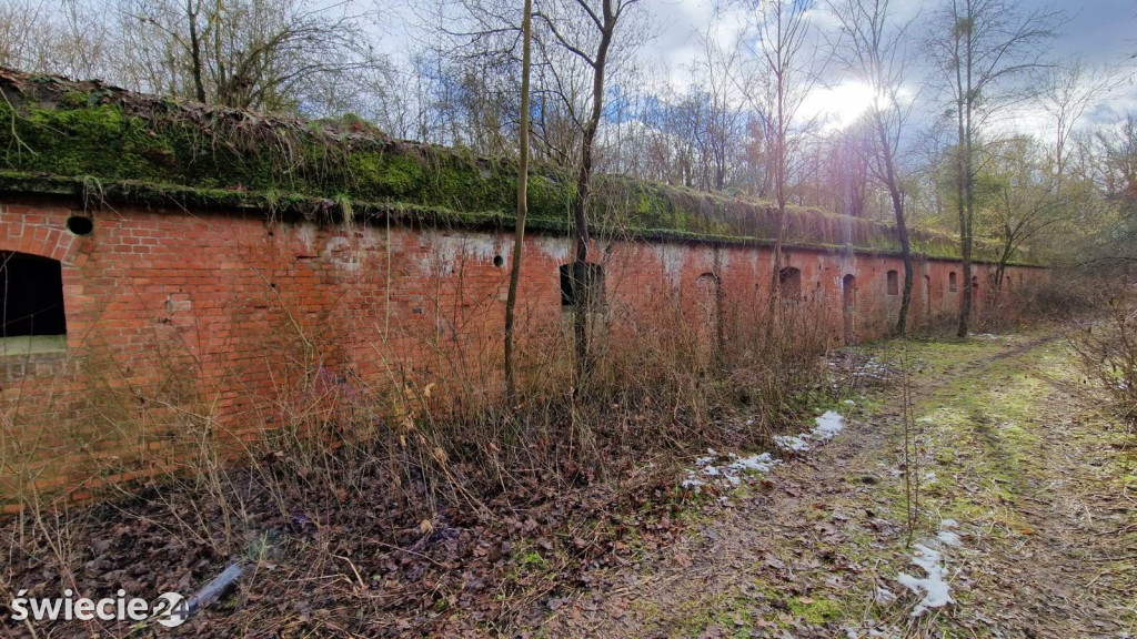 Zimowe liczenie nietoperzy w fortach i schronach
