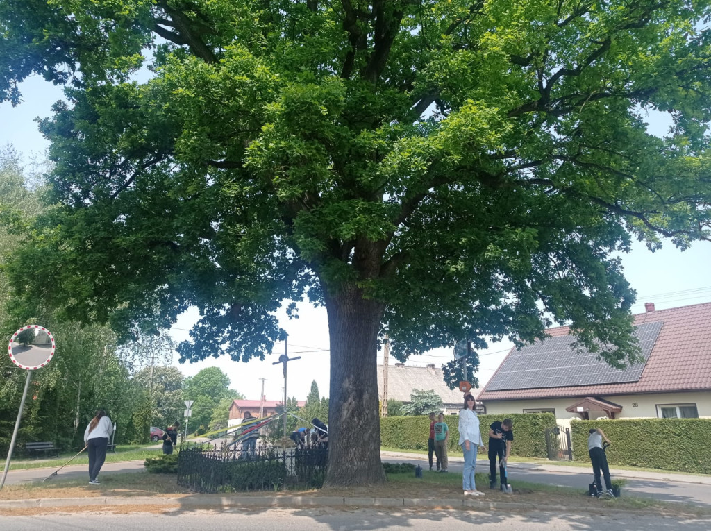 Dąb Kornel w Czaplach - festyn