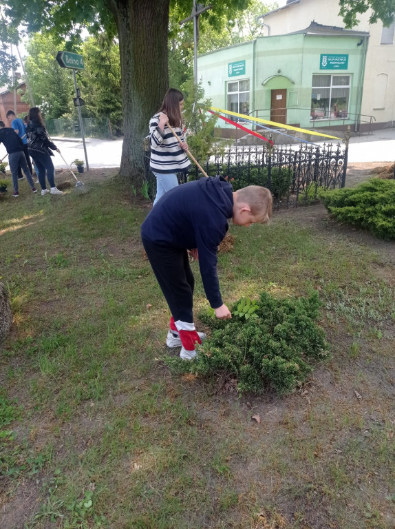 Dąb Kornel w Czaplach - festyn