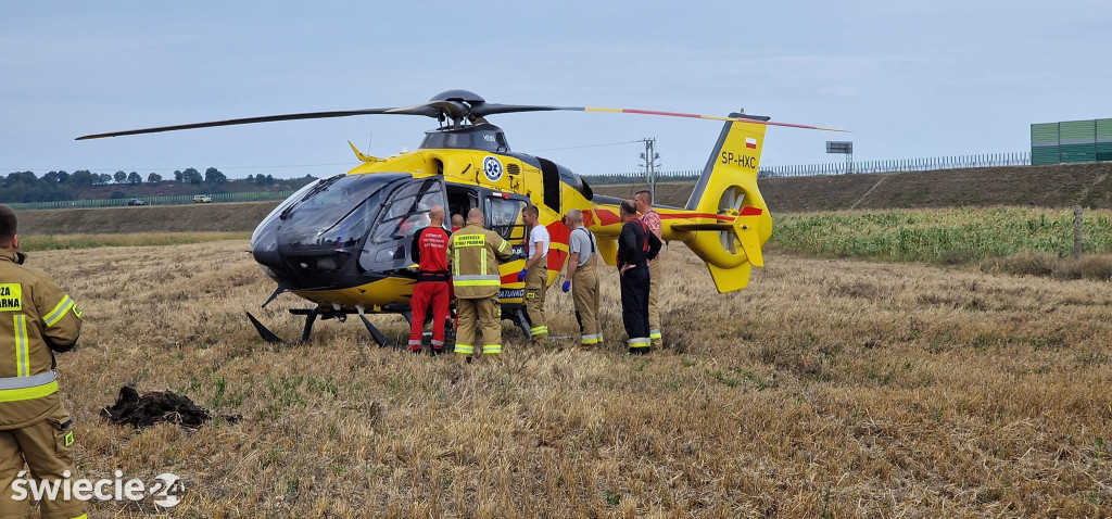 Akcja strażaków w Wielkim Stwolnie