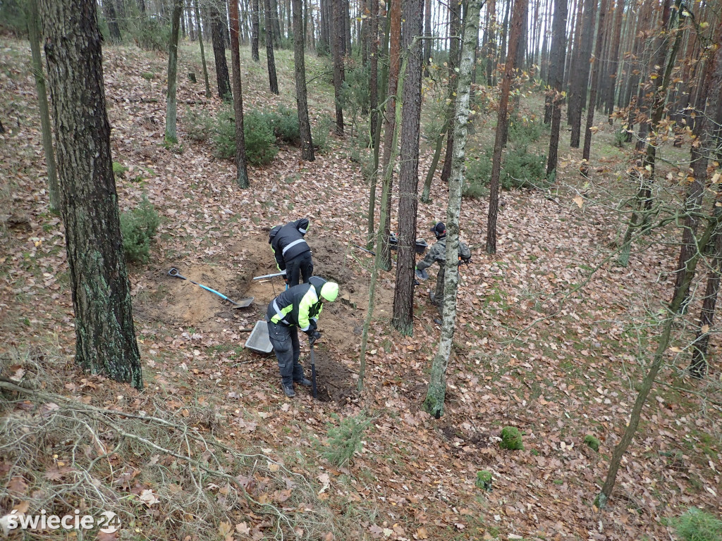 Szczątki żołnierzy odnalezione w lasach