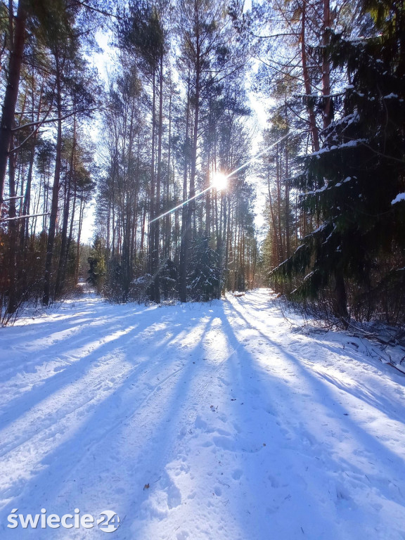 Kalendarz gminy Świecie 2024 - nagrodzeni autorzy