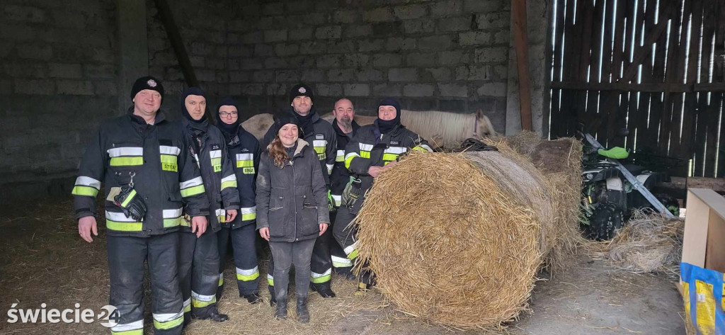 Koń nie mógł stanąć na nogi. Pomogli strażacy