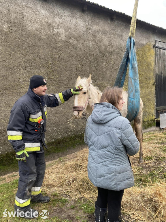 Koń nie mógł stanąć na nogi. Pomogli strażacy