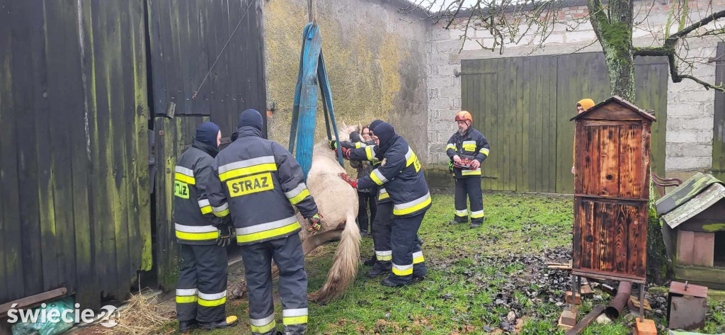 Koń nie mógł stanąć na nogi. Pomogli strażacy