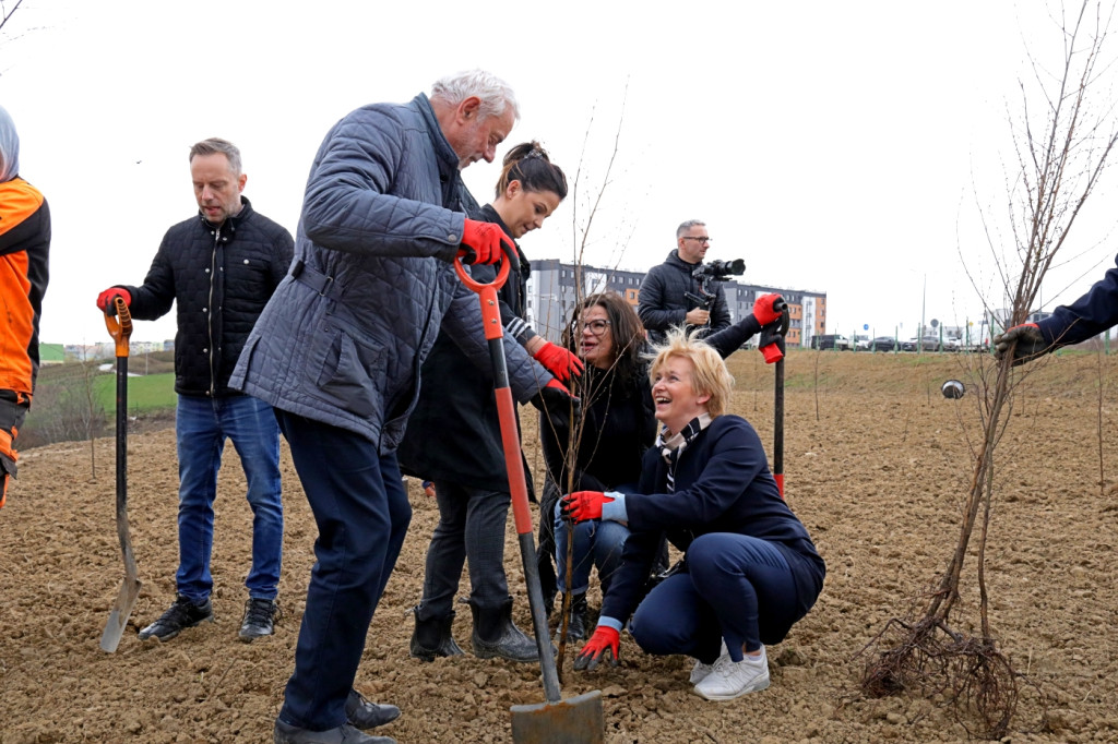 Radni sadzili las na Mariankach