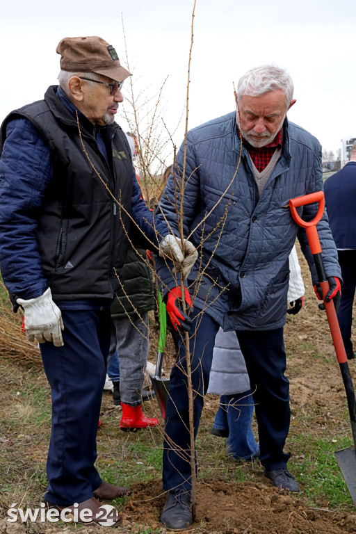 Radni sadzili las na Mariankach