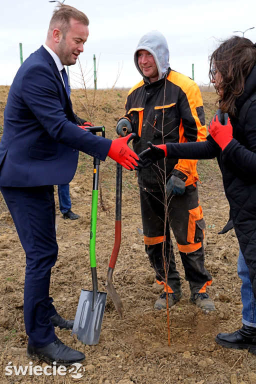 Radni sadzili las na Mariankach