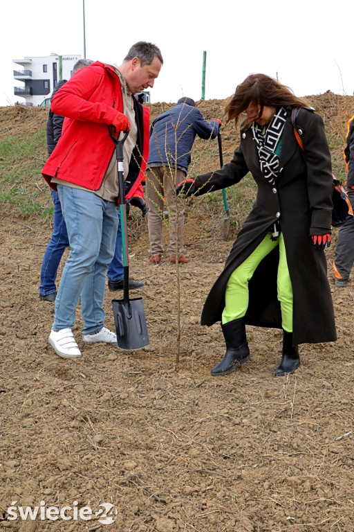 Radni sadzili las na Mariankach