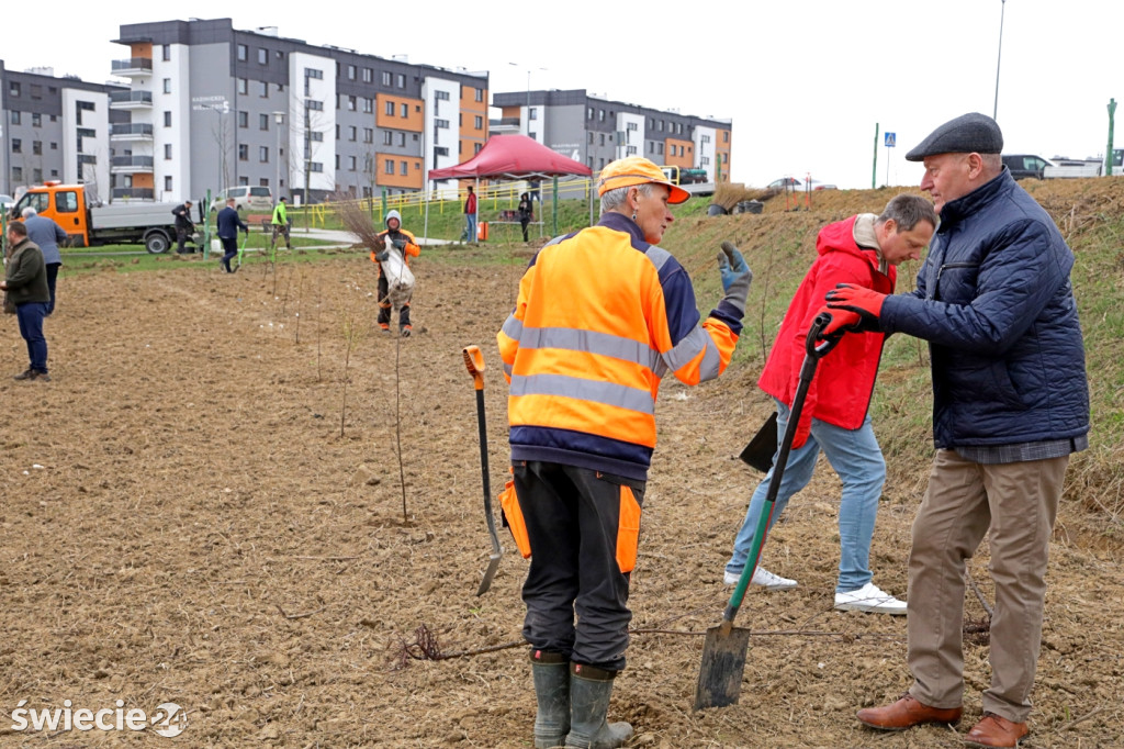 Radni sadzili las na Mariankach