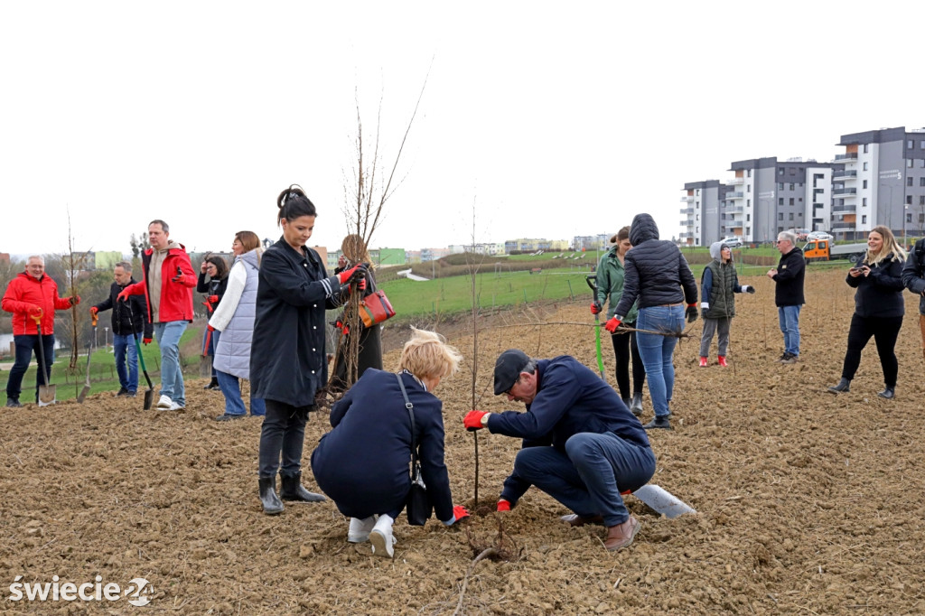 Radni sadzili las na Mariankach