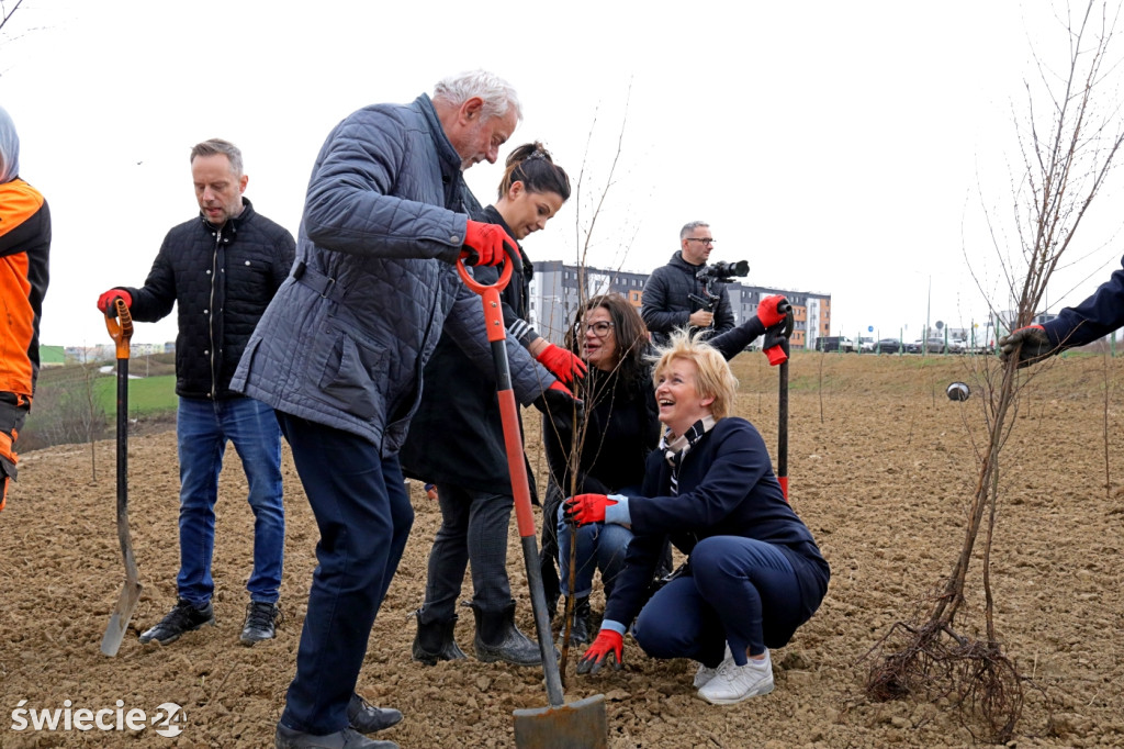 Radni sadzili las na Mariankach