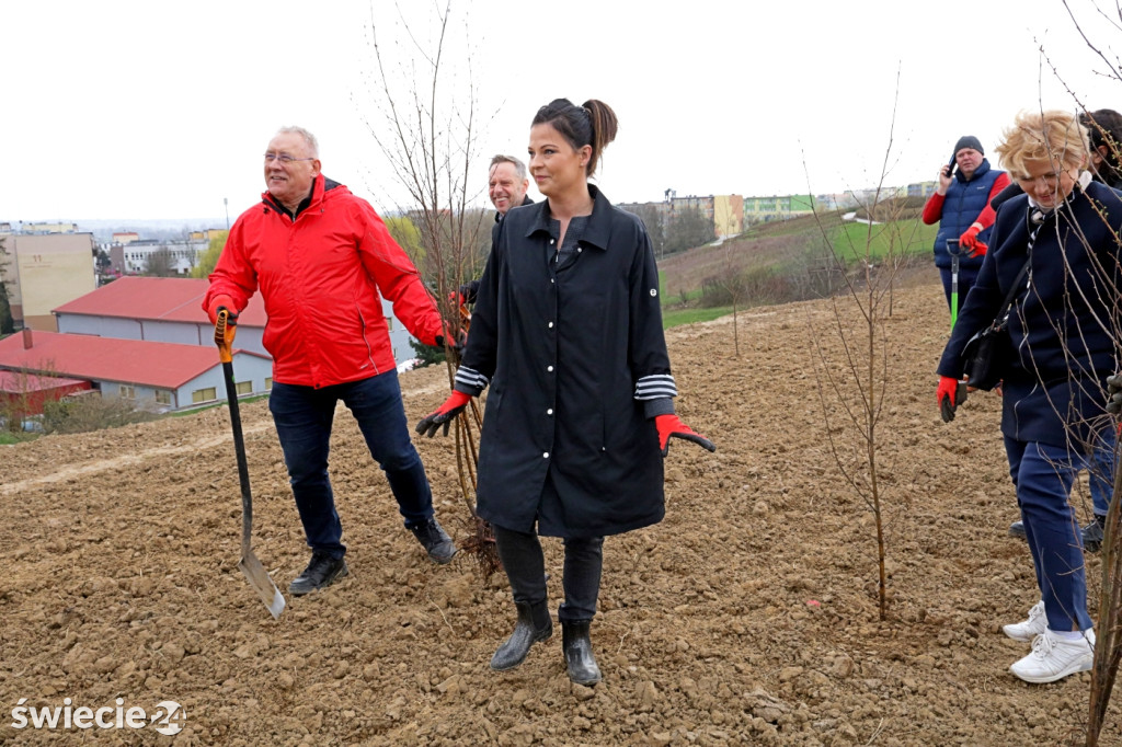 Radni sadzili las na Mariankach