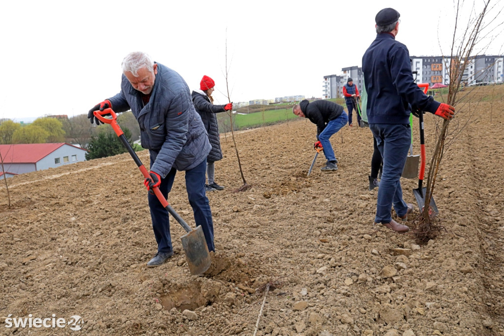 Radni sadzili las na Mariankach