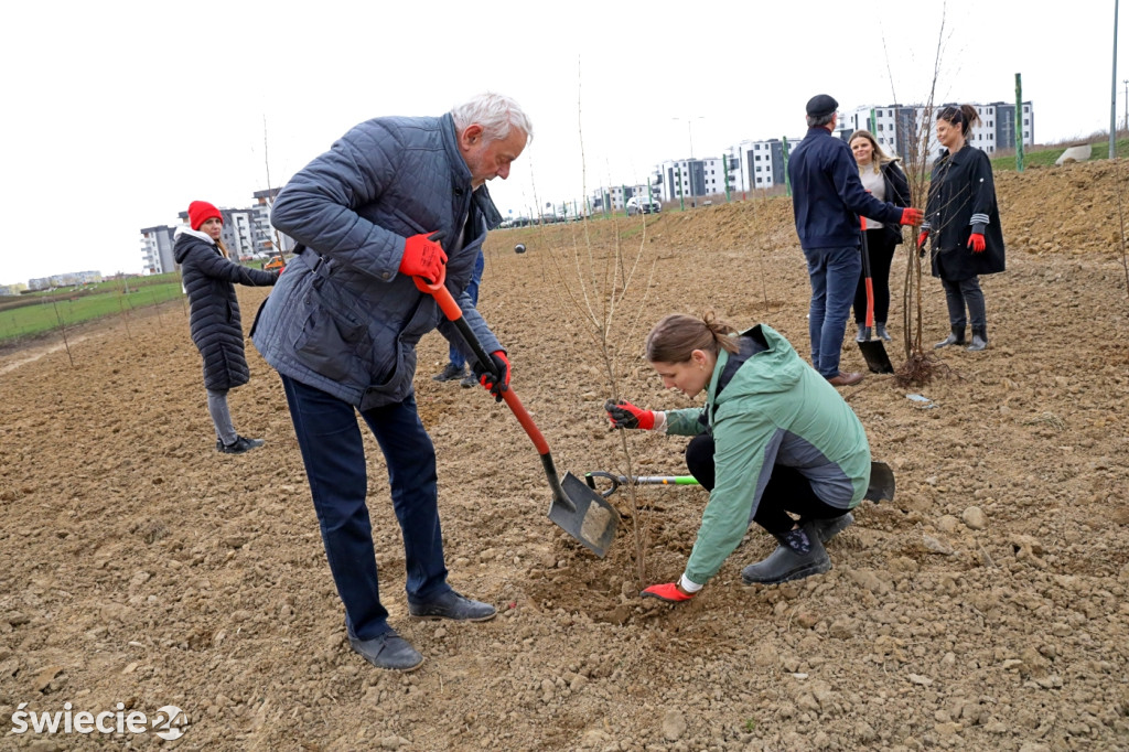 Radni sadzili las na Mariankach