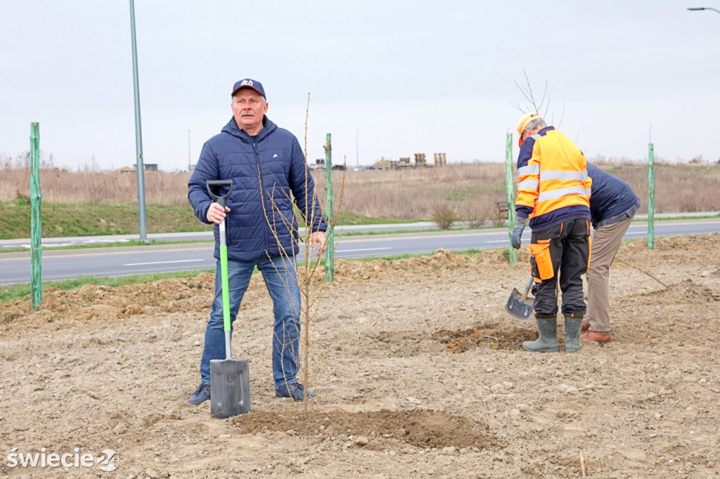 Radni sadzili las na Mariankach