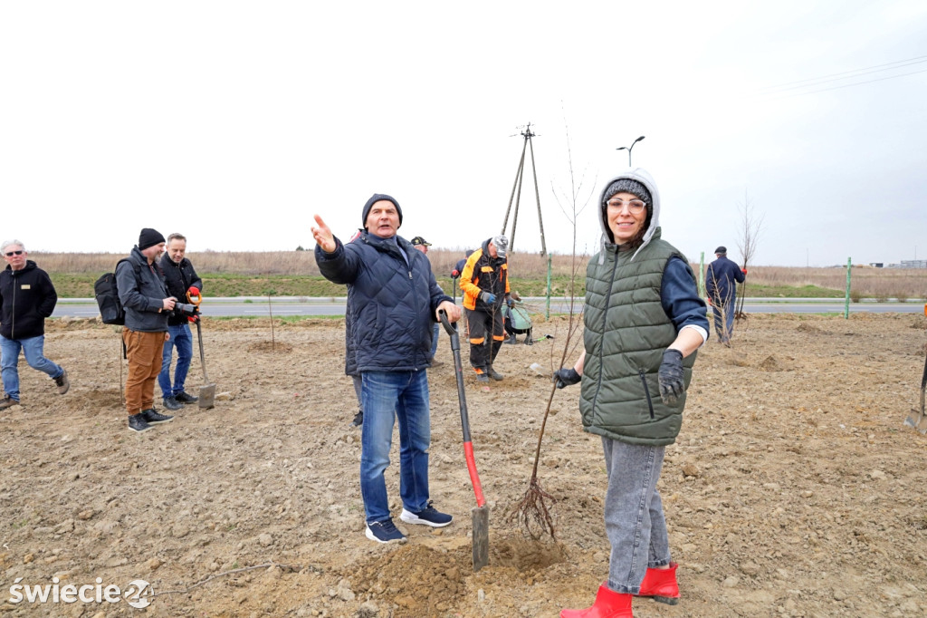 Radni sadzili las na Mariankach