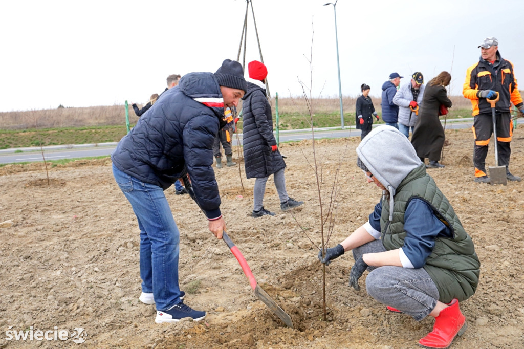 Radni sadzili las na Mariankach