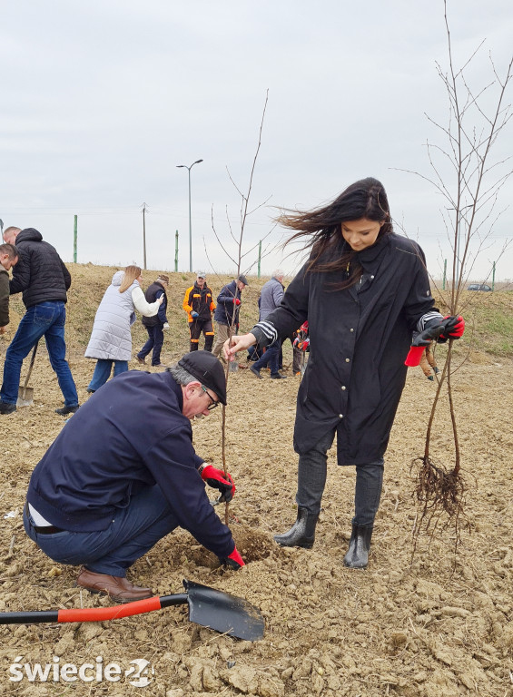 Radni sadzili las na Mariankach