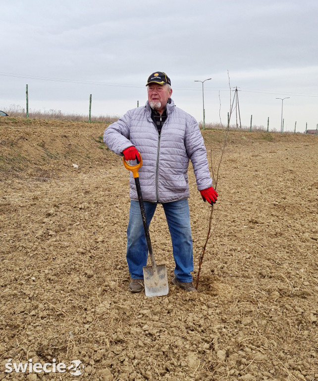 Radni sadzili las na Mariankach