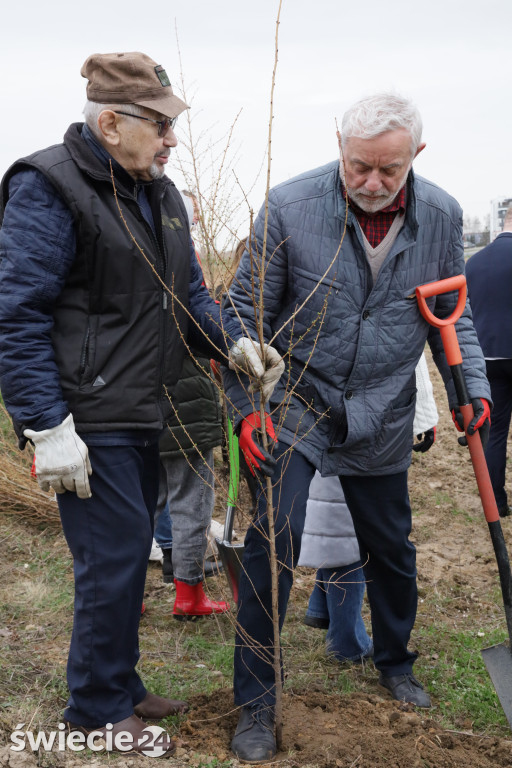 Radni sadzili las na Mariankach