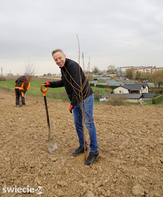 Radni sadzili las na Mariankach