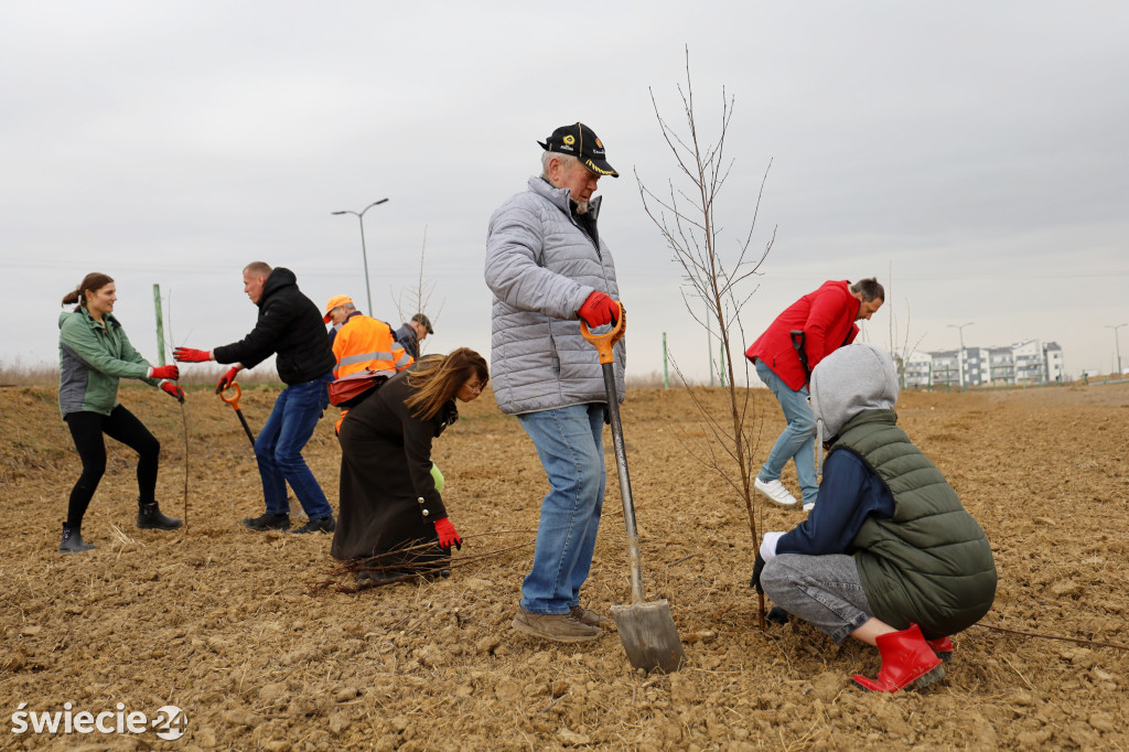 Radni sadzili las na Mariankach