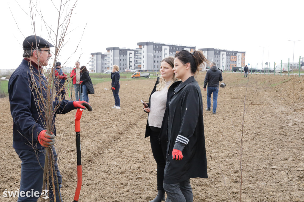 Radni sadzili las na Mariankach
