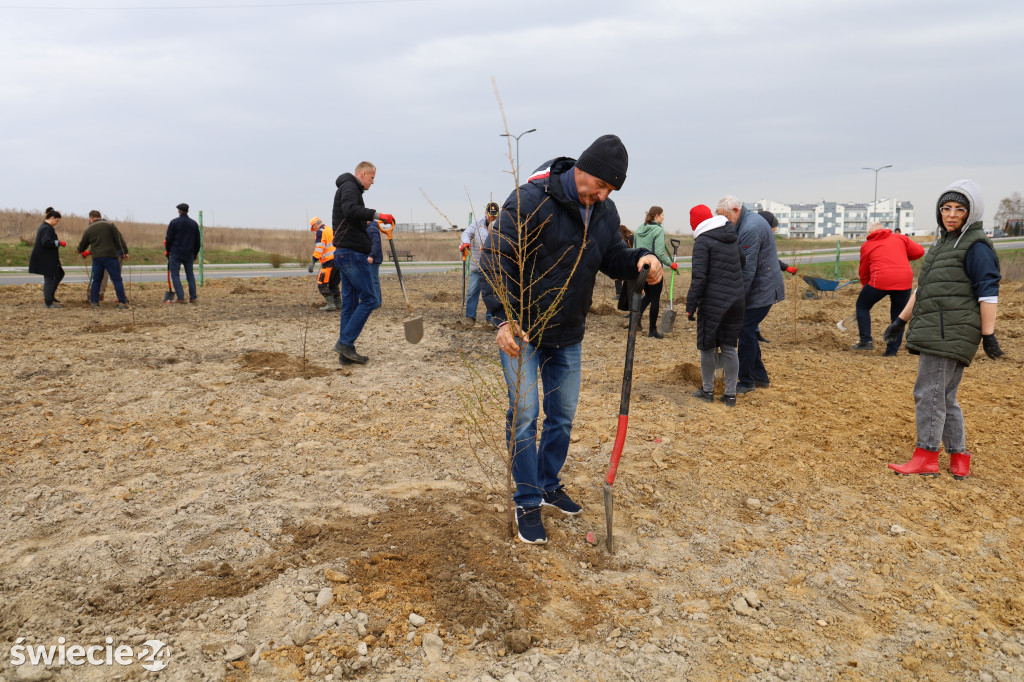 Radni sadzili las na Mariankach